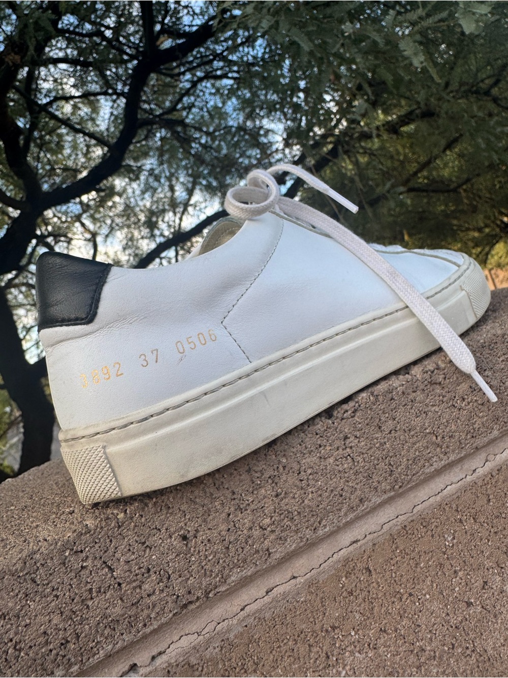Common Projects Sneakers Size 37